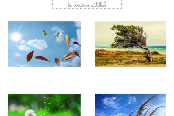 eau-terre-air-p2